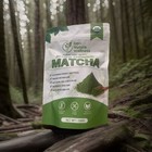 Wellness Organic Matcha Green Tea Powder 100grams -japanese 100  Organic X2