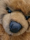 Vintage 1983 Avanti Applause Plush Teddy Bear Big 30  Euc 