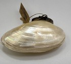 Vintage Pier 1 Mother Of Pearl Clam Shell Trinket Box Brass Hinged Coastal 4 