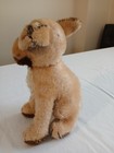 Vintage Steiff Mopsy The Dog  9    Left Ear Damaged See Pics