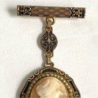 Vintage Cameo Brooch Victorian Style Carved Female Profile Portrait Gold Pin