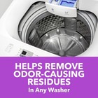 Washing Machine Cleaner With Odor Blasters  4 Count