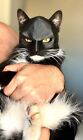Pet Mask  Cat Batman Face Mask 