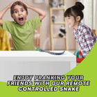 Remote Control Rattle Snake - Realistic Robot Snake Toy With Infrared Receiver -