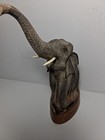 Hand Carved Buffalo Horn Featuring A Raised Trunk For Good Luck 11 Inches Tall