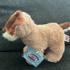 Webkinz Brown Sugar Puppy Plush W  Sealed Code Retired Hm740 Nwt