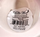 Pioneer Woman Mazie Juicer Press Bird   Floral Print  Ceramic W handle New
