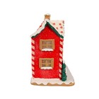 Kurt Adler Musical Led Gingerbread House Battery Operated 9 5    Decor
