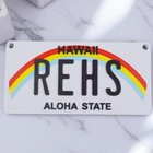 Personalized Mini License Plate Tag     Custom 3d 4x2    State Plate For Kids