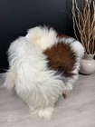 Xxl Natural Icelandic Sheepskin Rug Pelt Genuine Seat Cover Pet Bed Throw Decor