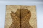 Electric Bass Top Birdseye Quilted Golden Camphor Wood Burl Luthier Supply