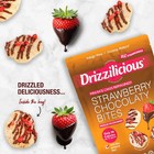Drizzilicious Strawberry Chocolate Mini Rice Cakes Vegan Gluten Free Snacks 2 Pk