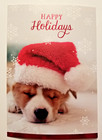 Happy Holidays Greeting Cards Cute Puppy Santa Hat Set Of 16 Cards   Envelopes
