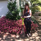 Radius Garden 203 Pro Garden Stainless Steel Digging Fork  Green