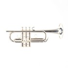 Yamaha Model Ytr-751 Professional D Trumpet Sn 80059 Excellent