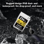 Lexar - 256gb Gold Cfexpress 4 0 Type A Memory Card  For Photographers  Vid   