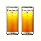 Double Wall Insulated Glass Tumbler 16oz Set Of 2