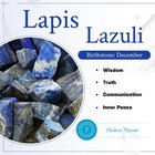 2 Pcs Lapis Lazuli Crystal Turtle Statue  Resin Tortoise Figurine Sculpture P   