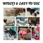 Pet Dog Diaper Female Puppy Physiological Panties Nappy Sanitary Pants Underwear