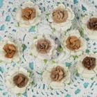 Prima Roses  cottage Blossoms  Baby Blue   544096 So Fun 