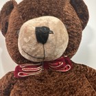 Dan Dee 100th Anniversary Collectible Teddy Bear Plush 2002