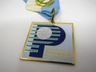 Lot Of Professional Photography Society Award Pins Medals