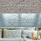 Purina Tidy Cats Free   Clean Unscented Clumping Scoop Cat   Kitty Litter For