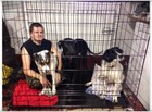 Dog Crate Folding Wire Metal Puppy Kennel Cage Xxl Large Giant Training Houses