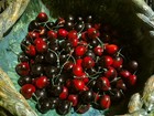 Lot Faux Fake Artificial Fruit Home Decor Display Realistic 16   Lots Of Cherrys