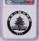 Ngc Pf69uc China 1995 Proof Panda Silver Coin 1oz 10 Yuan