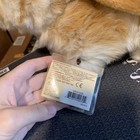 Webkinz Signature Lop Bunny  new Sealed Unused Code 