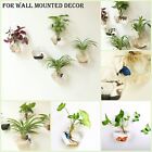 Wall Hanging Glass Planter Propagation Terrarium Hexagon Shape Flower Vase Fo   