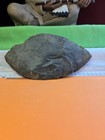 Authentic Huge Cache Blade Made Of Horn Stone Found 5 15 54 From Ind 