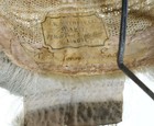 W  T  Johnson Esquire C1850 English Barrister s Wig In Toleware J k  Metherell