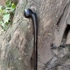 Original 1920 Style African Rosewood Ironwood Mahogany Walking Hiking Stick Ambi