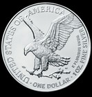 2026 U s  Eagle Fire Horse Edition 1 Oz Silver Coin