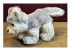 Ganz Webkinz Adorable Puppy dog  husky  Hm 120 No Code  Plush stuffed Animal