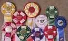 Vintage 80 s-90 s Horse Show Ribbons - Large Rosettes - Lot Of 10-  e 