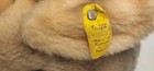 Vintage Steiff Cosy Trampy Elephant Plush All Ids Button Ear Tag Bell Collar