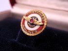 Vintage Northwest Airlines Air Mail 10k Gold Gf Ruby Enamel Badge Lapel Pin