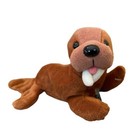 Coca Cola Beanie 6  Plush Walrus Bottle Of Coke 1998 Style 0135