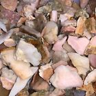 500 Carat Lots Of Very High End  small  Pink Opal Rough  A Free Faceted Gemstone