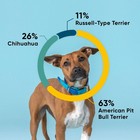 Embark Breed   Health Dog Dna Test Kit  Breed Identification 