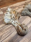 Antique Clawfoot Cast Iron Tub Ball Claw Bath Feet Legs Original Set Of Four