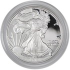 2014 W American Silver Eagle Choice Proof Bullion  1 Coin Ogp Coa