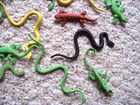 Safari Ltd 16 Reptiles Toob Miniature Collectibles