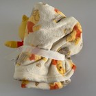 New Disney Baby Winnie The Pooh 2-piece Set Blanket   Plush