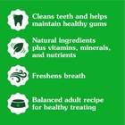 Natural Dog Dental Chews Oral Health Treats Large Dog Fresh Breath 48 Treats New
