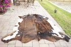 Brindle Rodeo Cowhide Rug Hair On Authentic Leather Rug Size Approx 6x7 Ft 