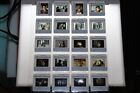 The Truman Show - 47 Press Kit Slides Jim Carrey Ed Harris Laura Linney